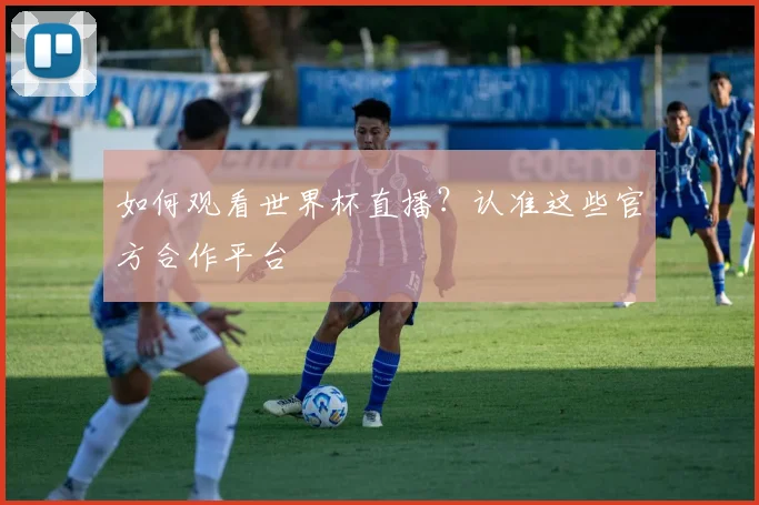 如何观看世界杯直播？认准这些官方合作平台