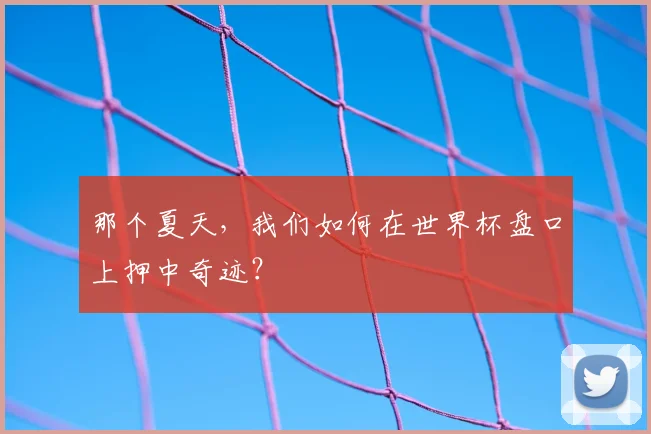 那个夏天，我们如何在世界杯盘口上押中奇迹？