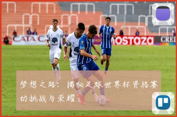 梦想之路：揭秘足球世界杯资格赛的挑战与荣耀