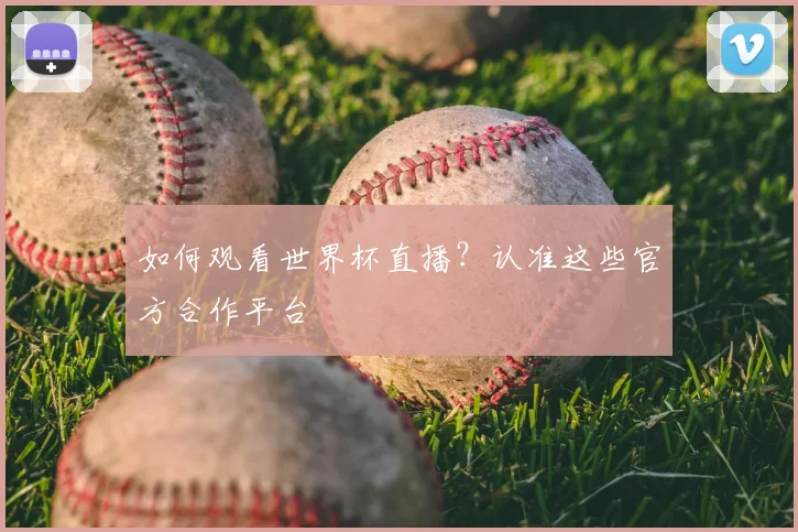 如何观看世界杯直播？认准这些官方合作平台