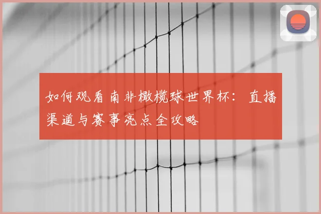 如何观看南非橄榄球世界杯：直播渠道与赛事亮点全攻略