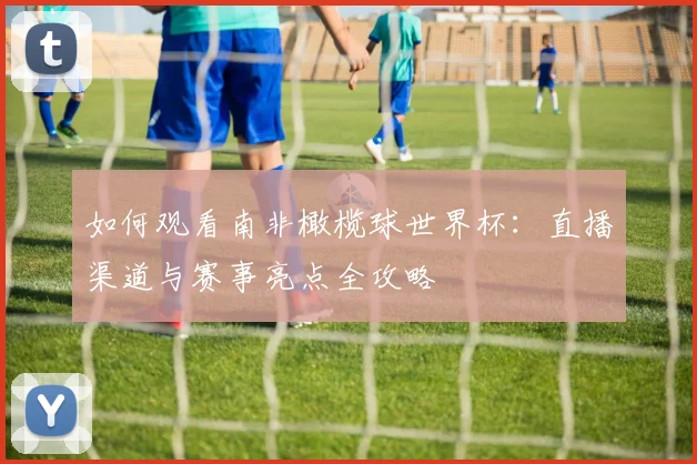 如何观看南非橄榄球世界杯：直播渠道与赛事亮点全攻略