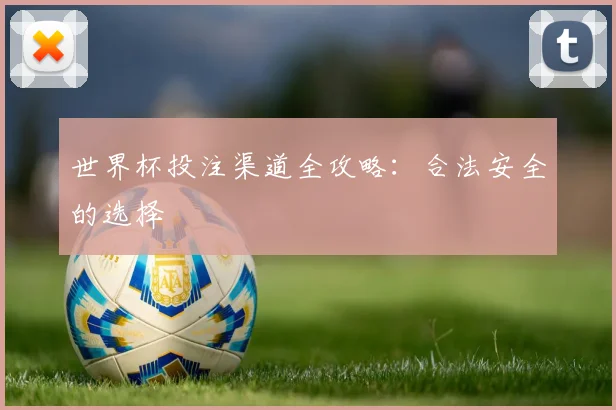 世界杯投注渠道全攻略:合法安全的选择