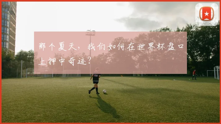 那个夏天，我们如何在世界杯盘口上押中奇迹？