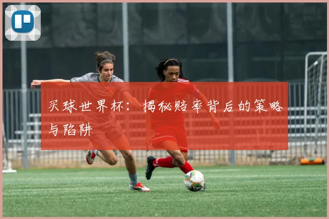买球世界杯：揭秘赔率背后的策略与陷阱
