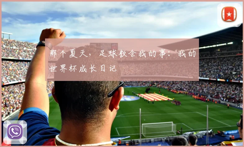 那个夏天，足球教会我的事：我的世界杯成长日记