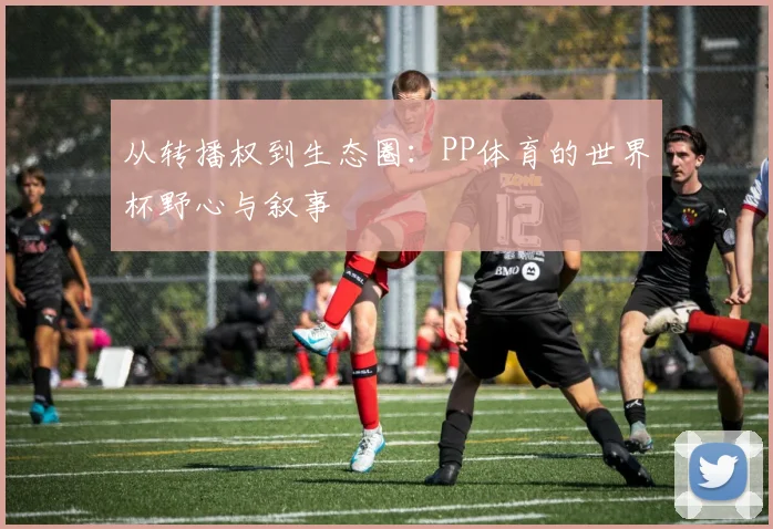 从转播权到生态圈：PP体育的世界杯野心与叙事